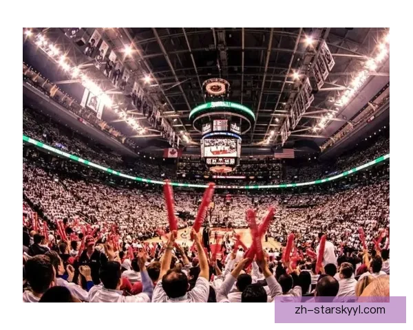 NBA扩军正式启动 董事会批准投票竞标 NBA扩军正式启动 董事会批准投票竞标